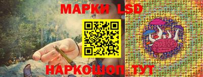 прущие грибы Гагарин