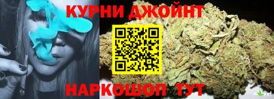 прущие грибы Гагарин