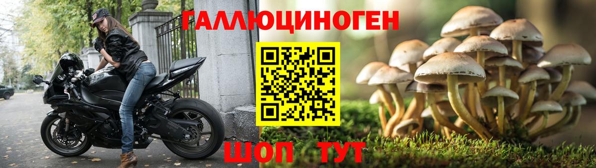 Рассказово  Галлюциногенные грибы Cubensis  купить наркотики цена  Вход с VPN 